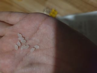 mgpc1004님이 올린 리뷰 사진 3