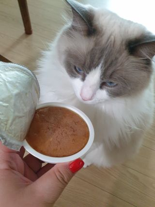 로크찡님이 올린 리뷰 사진 1