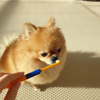🌷 킴블리 🌷님이 올린 리뷰 사진 2
