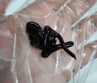 거니부님이 올린 리뷰 사진 3