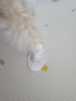 코보콩 에어슈즈 강아지 일회용 신발 소용량 패키지 20매 초경량  미끄럼방지 실내외 겸용 — 4점을 준 리뷰어가 2022년 2월 올린 사용 사진