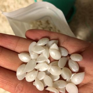 J님이 올린 리뷰 사진 3