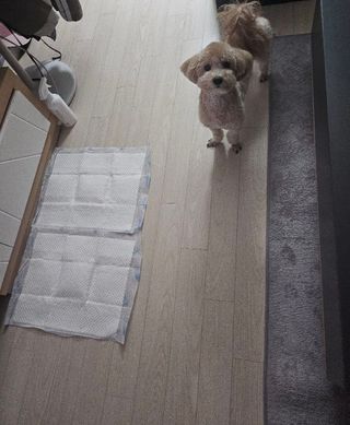 효니님이 올린 리뷰 사진 3