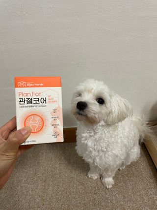 냥냥이님이 올린 리뷰 사진 1