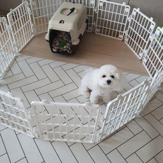비니주니맘 :D님이 올린 리뷰 사진 4