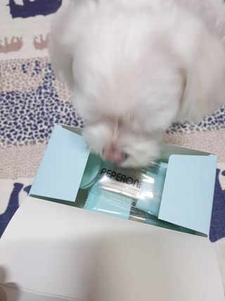 페페로니 클린플러스 덴탈치킨껌 10g x 14p — 5점을 준 리뷰어가 2021년 7월 올린 사용 사진