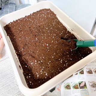 상크미님이 올린 리뷰 사진 2