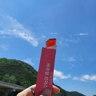 필리브 비주얼 브이스틱 — 5점을 준 리뷰어가 2021년 6월 올린 사용 사진