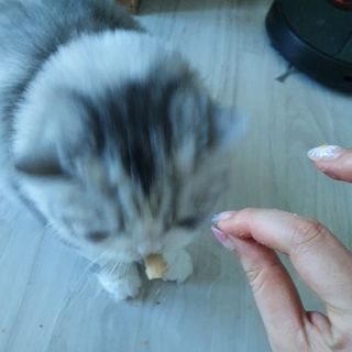 슬뷰님이 올린 리뷰 사진 3