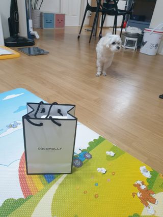 삐랭이님이 올린 리뷰 사진 2
