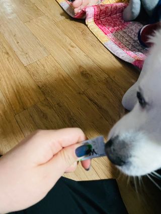 진진님이 올린 리뷰 사진 3