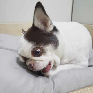 mini unni님이 올린 리뷰 사진 4