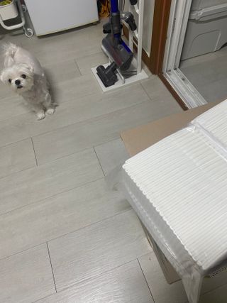 awedana님이 올린 리뷰 사진 4
