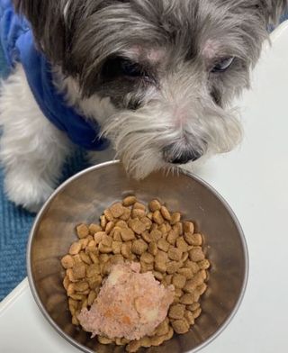 클로버님이 올린 리뷰 사진 3