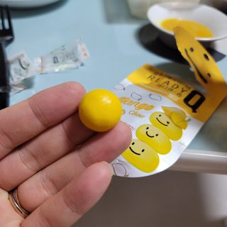 푸들ol님이 올린 리뷰 사진 3