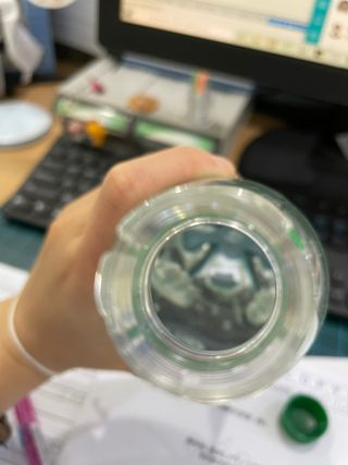 몽베스트 Montbest with Sparkling water Plain 20병 — 5점을 준 리뷰어가 2021년 11월 올린 사용 사진