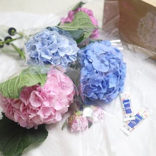 먹방꿈나무님이 올린 리뷰 사진 3