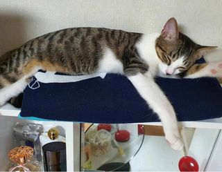 연화님이 올린 리뷰 사진 1