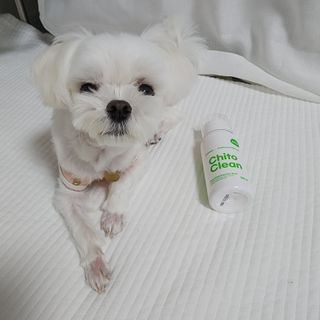 whol 키토클린 200ml - 항균항바이러스 강아지 눈 코 입 귀 세정탈취 고양이 턱드름제거 무향 워터리스 대용량 — 5점을 준 리뷰어가 2022년 10월 올린 사용 사진
