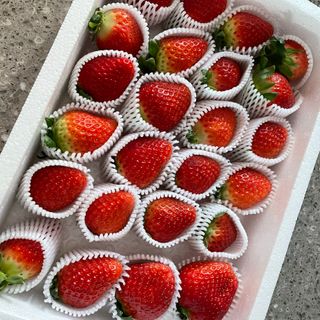 옳음 딸기 논산 설향 딸기 900g 산지직송 — 5점을 준 리뷰어가 2021년 1월 올린 사용 사진