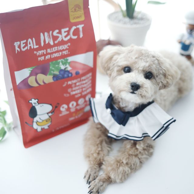 [푸디웜] 라포그  리얼인섹트 관절 저알러지 강아지 사료  1.2KG 리뷰 사진