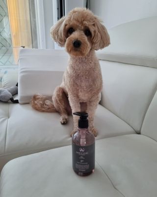 기린짱맘님이 올린 리뷰 사진 3
