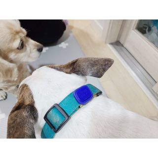 단발모리님이 올린 리뷰 사진 1