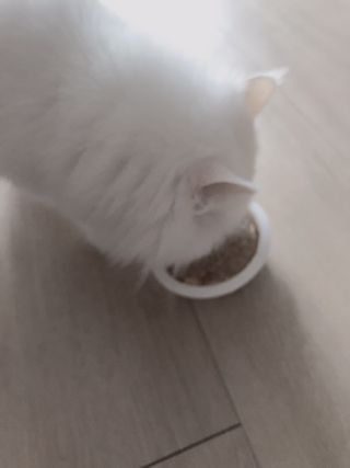 noname님이 올린 리뷰 사진 3