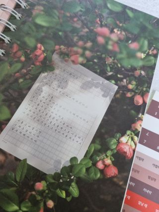 사랑해공팔리터님이 올린 리뷰 사진 2
