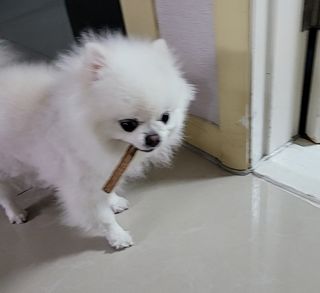 퓨리아님이 올린 리뷰 사진 4
