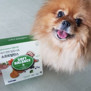 씨디랩 속이 편한 강아지 사료 소프트발란스 기호성 좋은 발효사료 피부와 위장 관절과 위장 — 5점을 준 리뷰어가 2021년 3월 올린 사용 사진