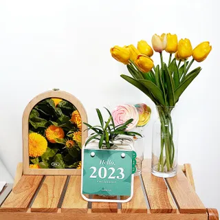 [메이크정글] 식물과 달력이 하나로, 2023년 식물캘린더 No.1 — 5점을 준 리뷰어가 2022년 10월 올린 사용 사진