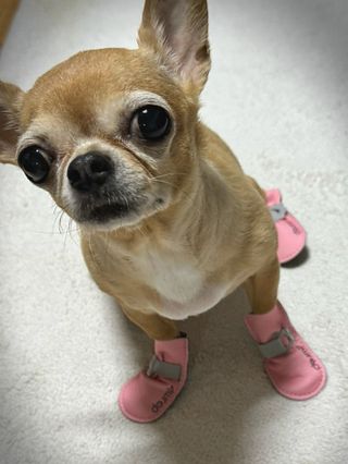 쏭또또님이 올린 리뷰 사진 1