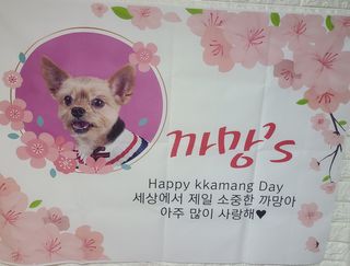 요하님이 올린 리뷰 사진 2