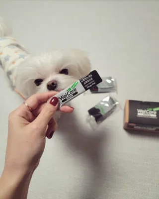 꼬꼬여왕님이 올린 리뷰 사진 1