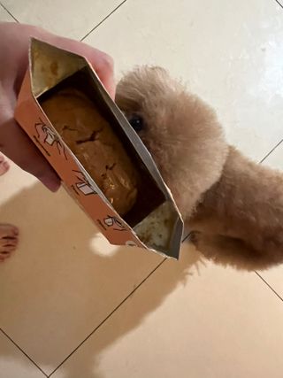 코끼리님이 올린 리뷰 사진 2
