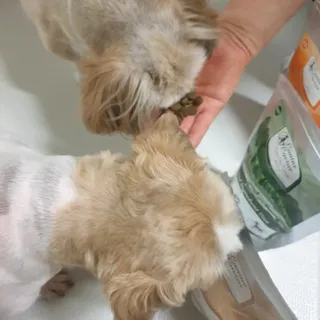 보리엄마님이 올린 리뷰 사진 2