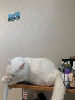 ㄹ진님이 올린 리뷰 사진 2