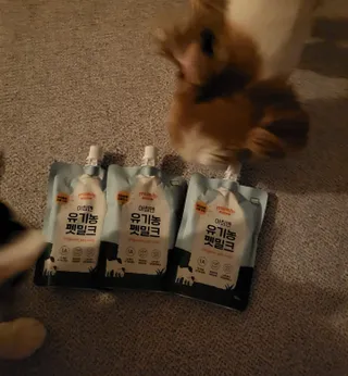 오둥이맘님이 올린 리뷰 사진 3