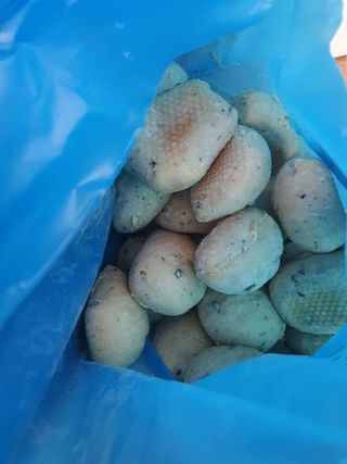 차가운달님님이 올린 리뷰 사진 1