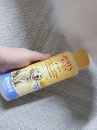 버츠비 퍼피투인원 티어리스 샴푸 앤 컨디셔너 — 5점을 준 리뷰어가 2021년 7월 올린 사용 사진