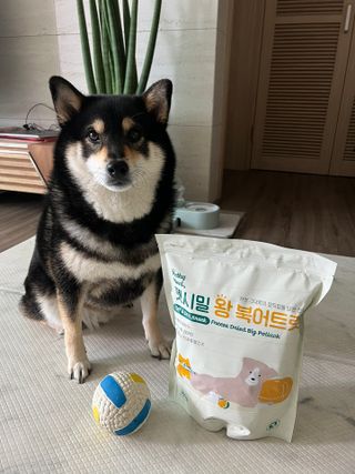 [펫시밀] 원물그대로 영양듬뿍 동결건조 왕북어트릿300g,왕치킨트릿400g,열빙어트릿300g 대용량 간식 — 5점을 준 리뷰어가 2023년 5월 올린 사용 사진