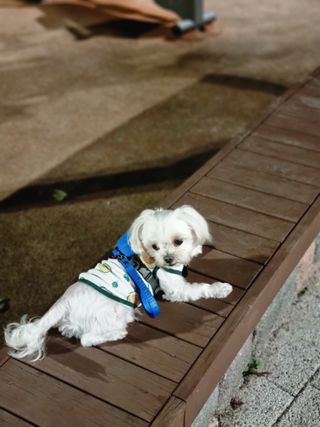 희온느님이 올린 리뷰 사진 1