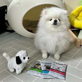 키둑키님이 올린 리뷰 사진 1