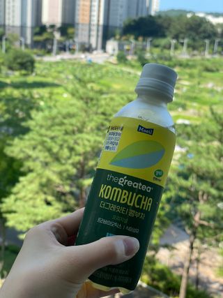 더그레잇티 콤부차 [매일유업] 더그레잇티 44kcal 콤부차 300ml *12개입 (오리지널 6개+베리리치 6개) — 5점을 준 리뷰어가 2023년 7월 올린 사용 사진