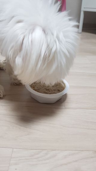 김푸딩님님이 올린 리뷰 사진 3