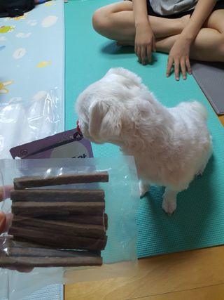My Pet Care 천연단백질 치아건강에 개좋아 — 5점을 준 리뷰어가 2021년 3월 올린 사용 사진