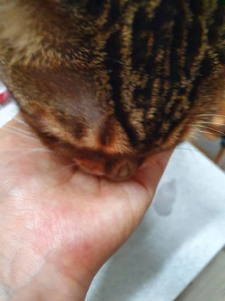 윤짱님이 올린 리뷰 사진 3