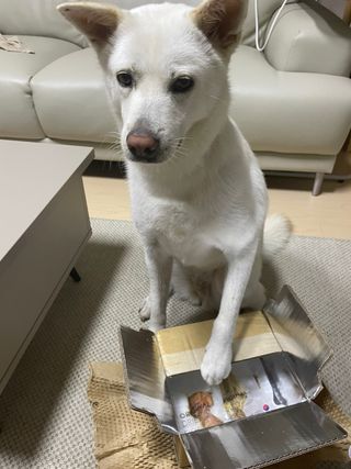 나래님이 올린 리뷰 사진 3