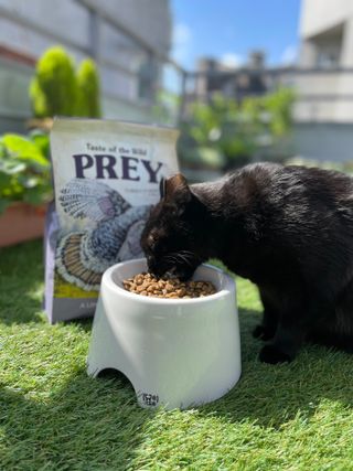 진영홍님이 올린 리뷰 사진 2